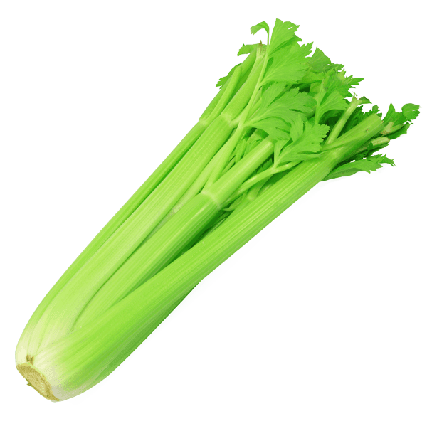 Celery Stick